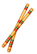 dandiya